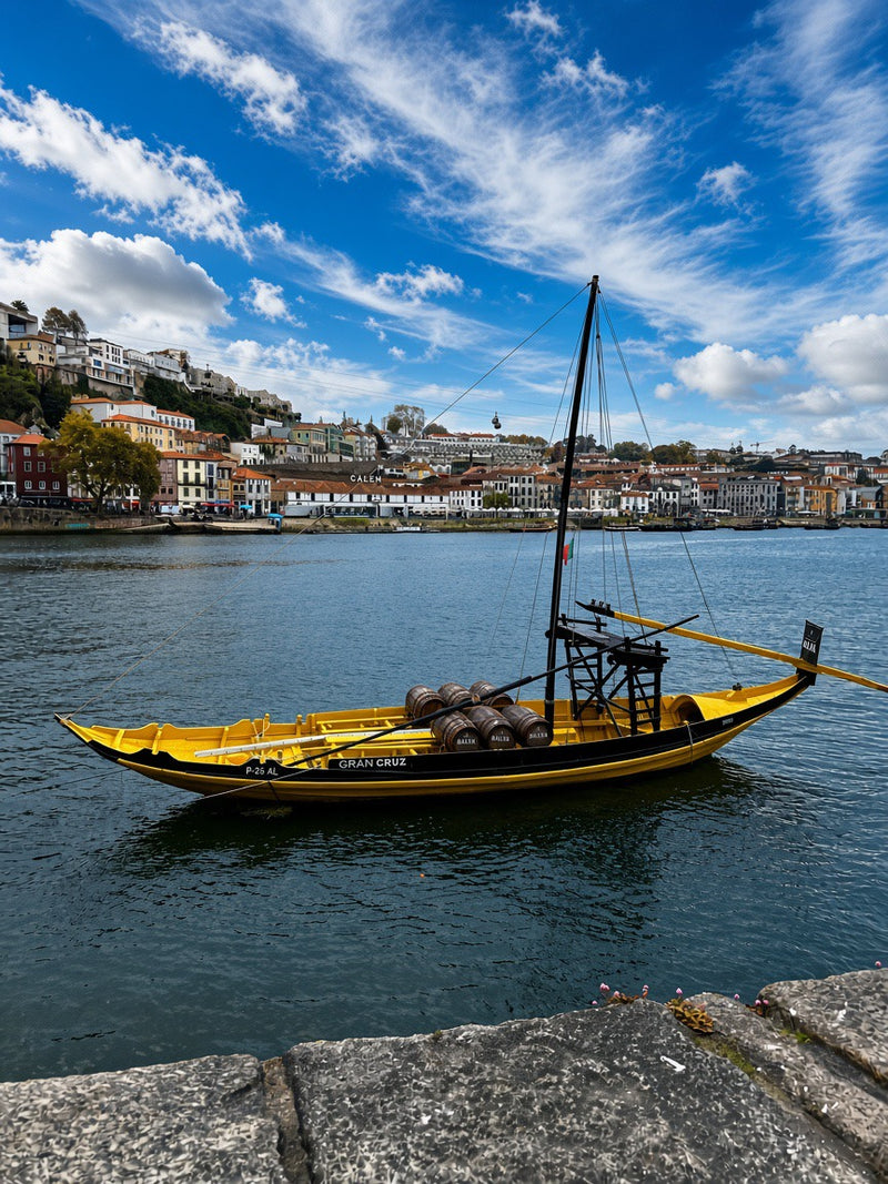 Barque traditionnelle sur le Douro, Porto - @loulou.photography_